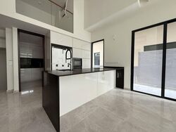 Belgravia Ace (D28), Terrace #585352051